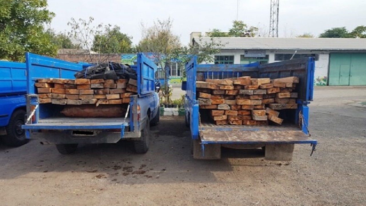 کشف چوب قاچاق در یکی از روستا‌های تالش