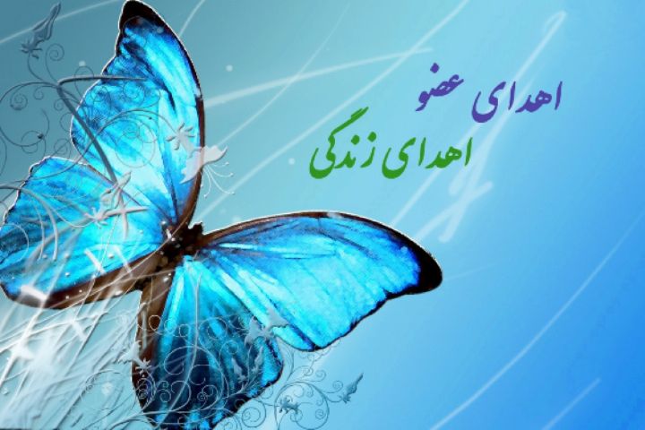 مرگ زندگی بخش شهروند رشتی/ اعضای بیمار به بیمارستان نمازی شیراز ارسال شد