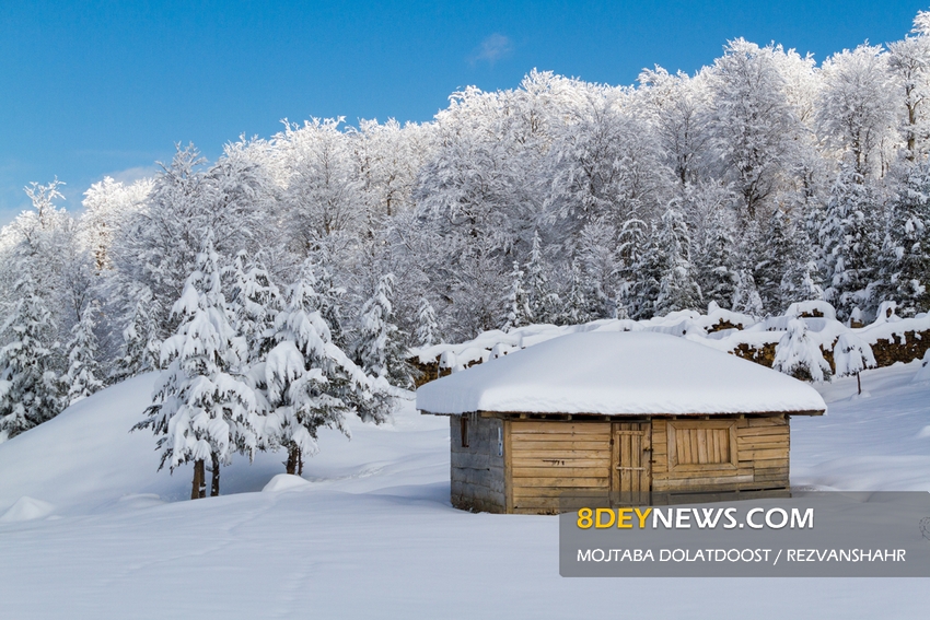 گزارش تصویری/ برف زمستانی رضوانشهر را سفیدپوش کرد