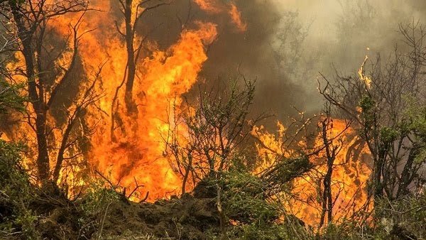 آتش سوزی جنگل های جمهوری آذربایجان به گیلان سرایت نکرد