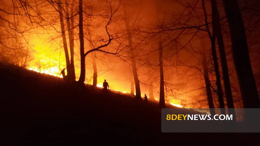 آتش‌سوزی در مناطق جنگلی روستای نارنجدول اسالم مهار شد + فیلم