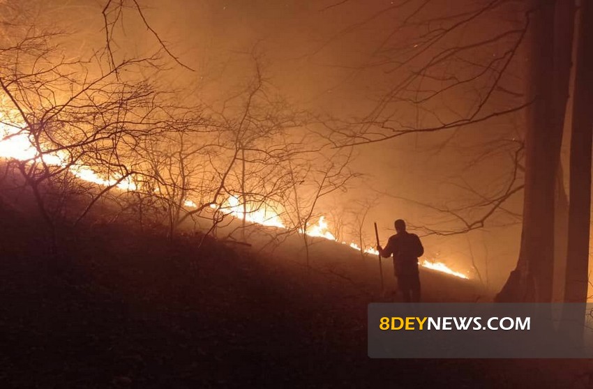 جنگل های اشکور رودسر همچنان در آتش می سوزد/ تلاش ها برای اطفای حریق ادامه دارد