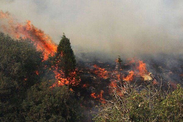 وقوع ۸۱ فقره آتش سوزی در جنگل های گیلان/ رودخانه آستاراچای آتش بُر حریق آذربایجان است