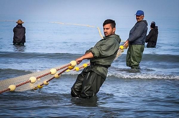۷۴۰ تن ماهی استخوانی در سواحل گیلان صید شد