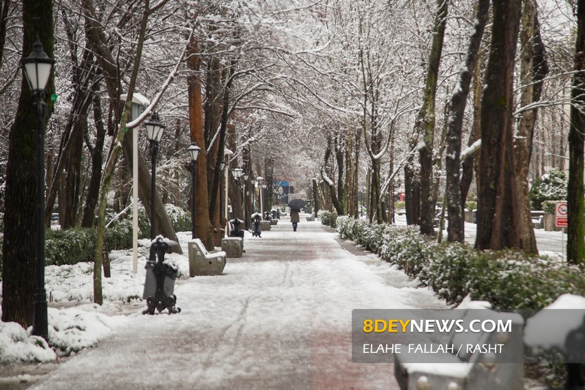 بارش برف در جلگه گیلان در پی کاهش ۸ تا ۱۵درجه ای دما