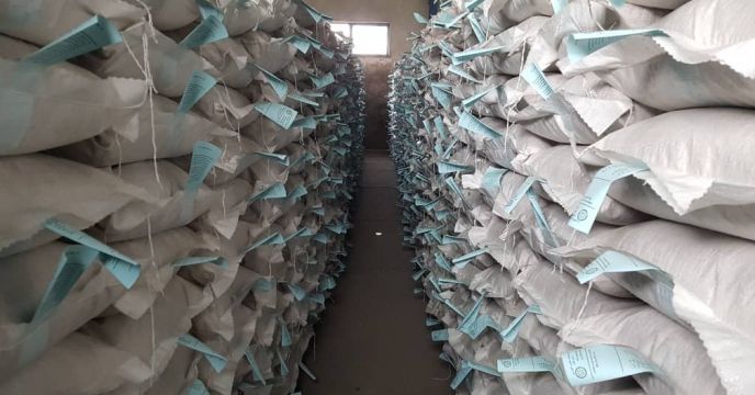 توزیع ۲۰ هزار کیلوگرم بذر اصلاح و گواهی شده برنج در تالش