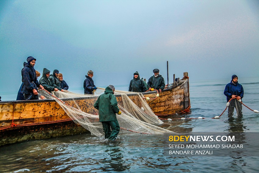 چهار هزار صیاد گیلانی تورهای ماهیگیری را به دریا انداختند