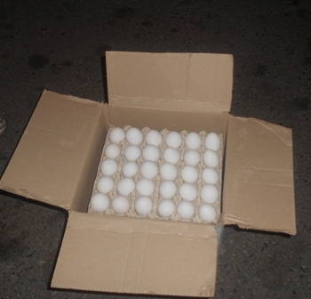 توقیف محموله ۱۴ تنی تخم‌مرغ فاقد مجوز در رودسر