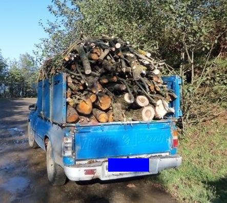 کشف ۶ تن چوب جنگلی قاچاق در آستانه‌اشرفیه