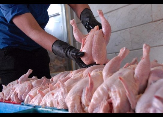 ۵۰ هزار تُن گوشت مرغ با ارز ۴۲۰۰ تومانی وارد کشور می‌شود