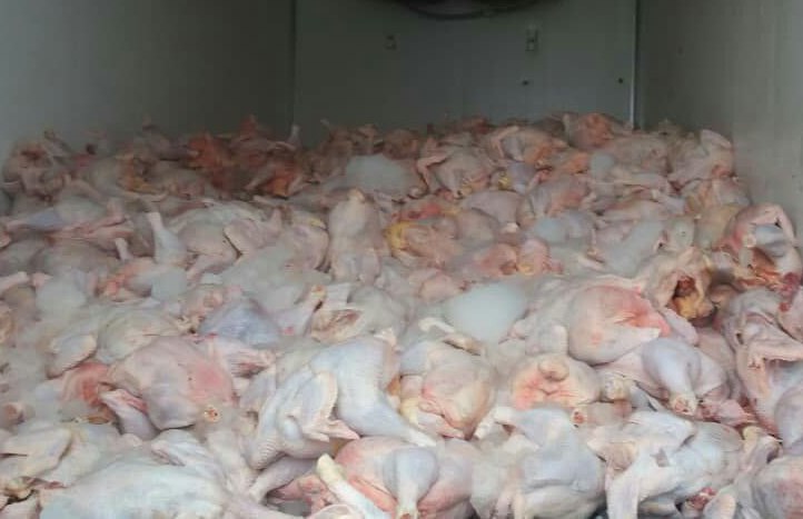 توقیف بیش از ۶ تن گوشت فاقد مجوز در رودسر