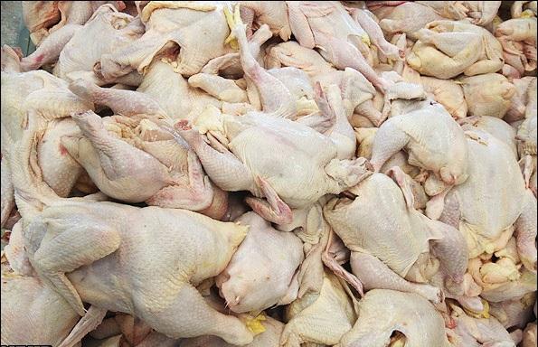 توقیف بیش از یک تن گوشت مرغ فاقد مجوز در رودسر