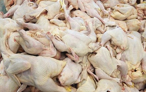  کشف ۱.۵ تن مرغ بدون مجوز در چابکسر