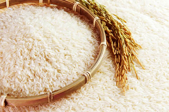 تولید برنج هسته‌ای در کشور