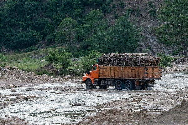 افزایش ۳۲ درصدی کشف چوب  آلات جنگلی/ تصرف؛ دامن گیر اراضی ملی گیلان