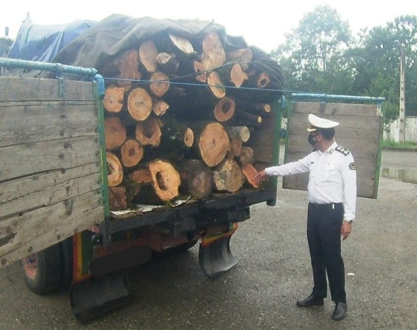 توقیف محموله ۱۰ تنی چوب قاچاق در رودبار