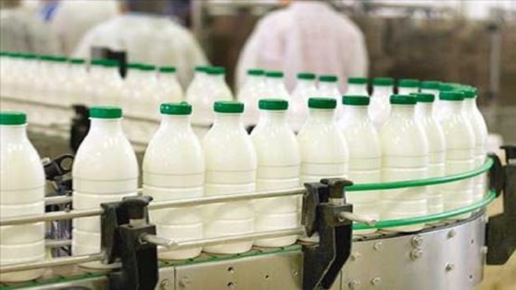مخالفت دامداران با تصمیم دولت برای افزایش قیمت شیرخام/ افزایش ۷۰درصدی قیمت لبنیات مبنا ندارد