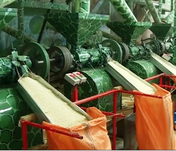 کاهش ۴۰ هزار تنی ضایعات برنج با نوسازی کارخانه های شالیکوبی