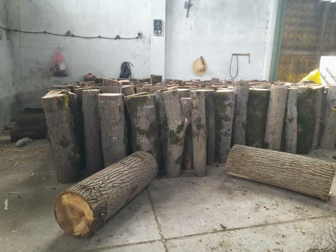 کشف ۳۰ تن چوب قاچاق در بندرانزلی