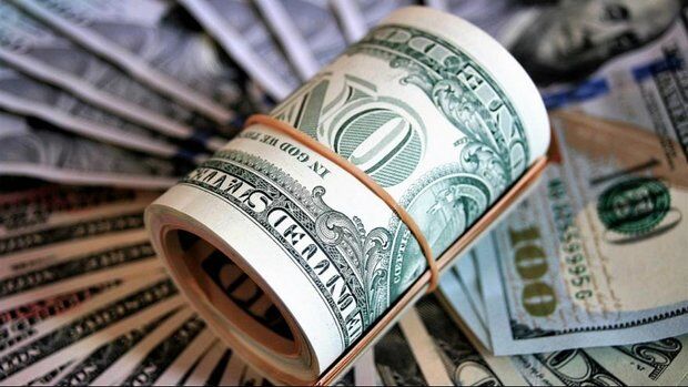 مجلس ۹ میلیارد دلار ارز ترجیحی برای کالاهای اساسی تصویب کرد