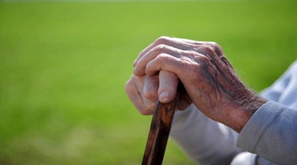 افزایش دو برابری سالمندان در گیلان/ ۸۸ درصد جمعیت استان باسواد هستند