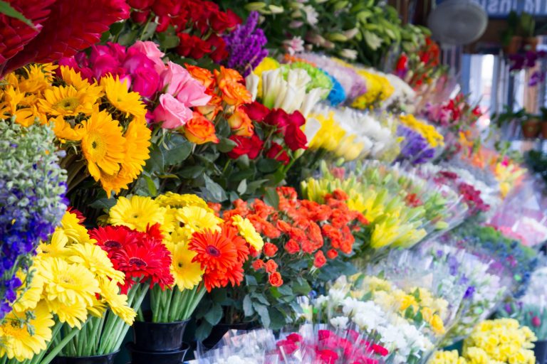راه‌اندازی اولین گل فروشی ایران در رشت