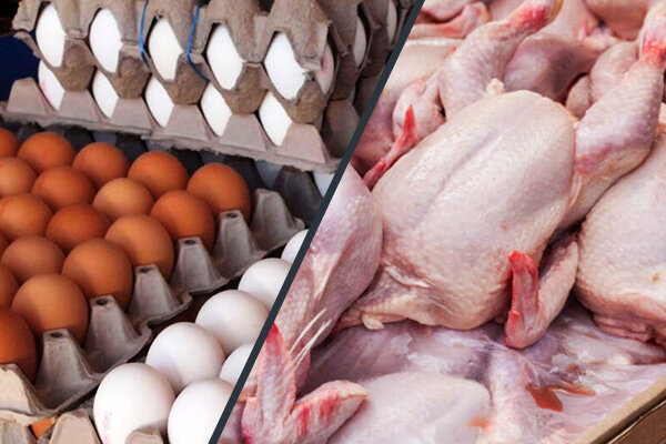 تداوم روند کاهشی قیمت مرغ و تخم‌مرغ