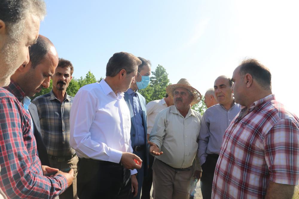 بازدید فرماندار رشت از اراضی شالیزاری روستای کفترود / پیگیری میدانی وضعیت آرد و نان پیربازار