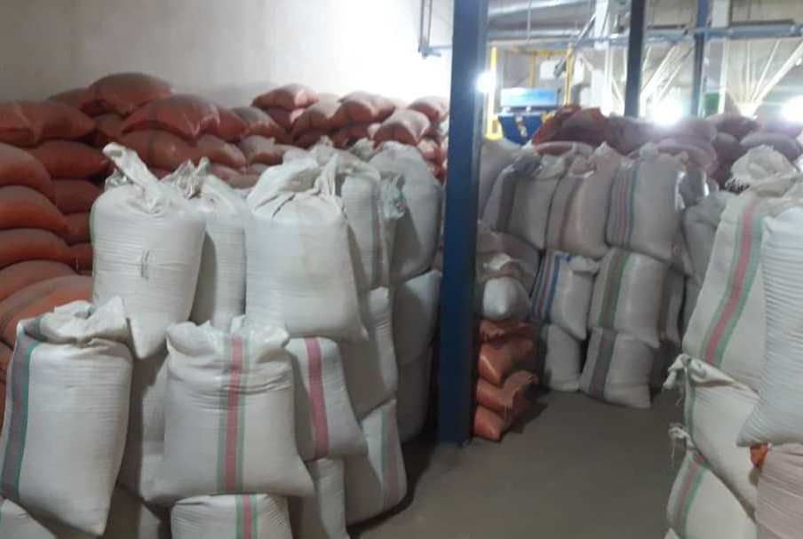 احتکار ۶۰ تن برنج در شفت