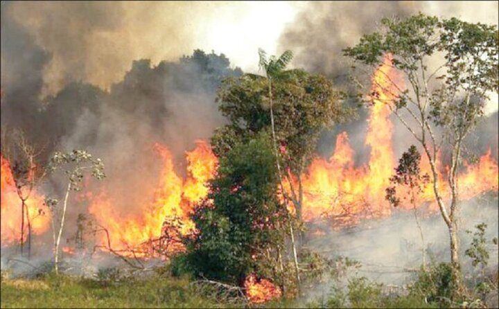 آتش‌سوزی اراضی جنگلی گیلان