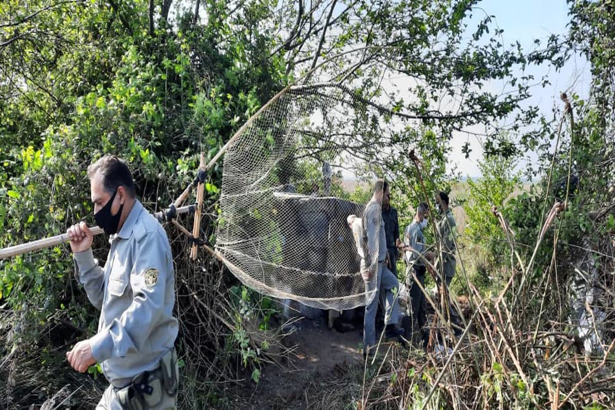 کومه‌های شکار غیرمجاز در پارک ملی بوجاق جمع آوری شد