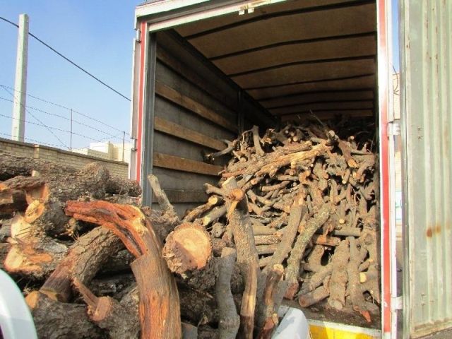 کشف ۵ تن چوب جنگلی قاچاق در تالش