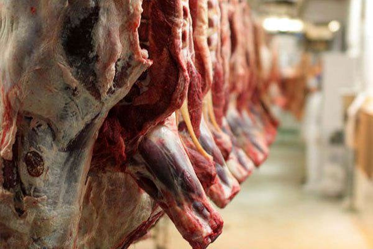 تولید ۷ هزار تن گوشت قرمز توسط دامداران گیلانی