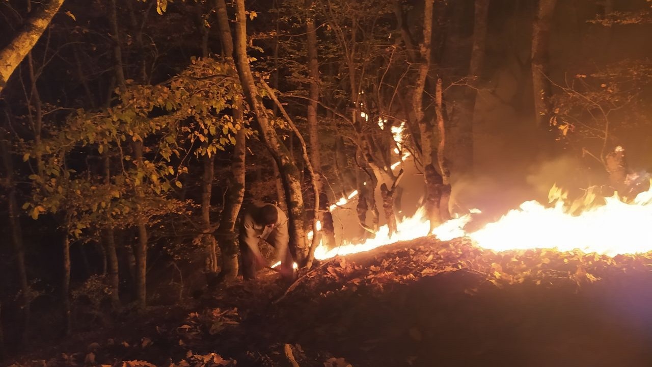 آتش جنگل‌های رودبار دوباره شعله‌ور شد