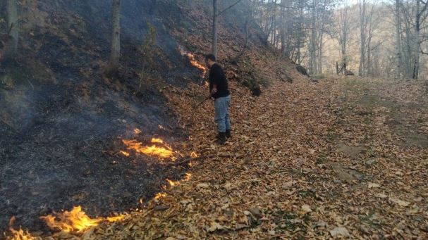 تداوم آتش سوزی یک هکتار از مناطق جنگلی و ییلاقی کرف گردن املش