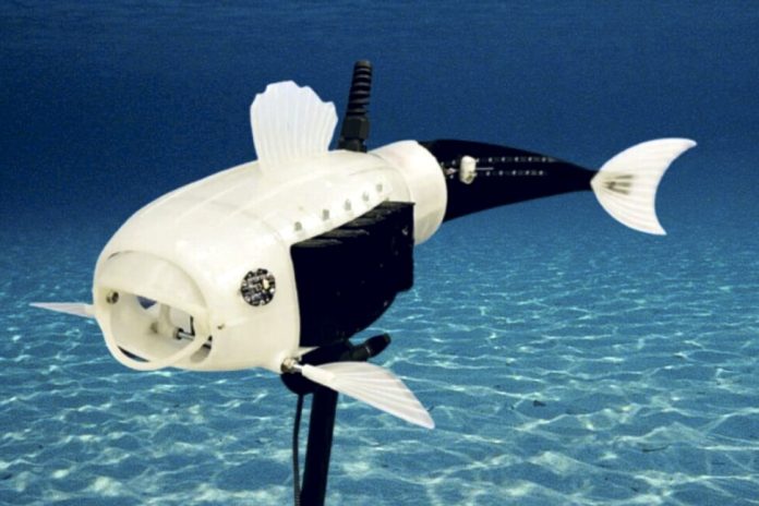 ربات‌ ماهی دریاچه‌ها را از وجود میکروپلاستیک‌ها پاک می‌کند