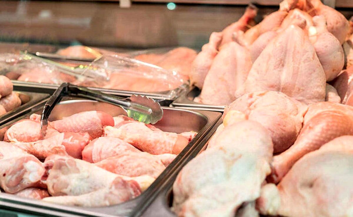 موانع صادرات مرغ برداشته شد