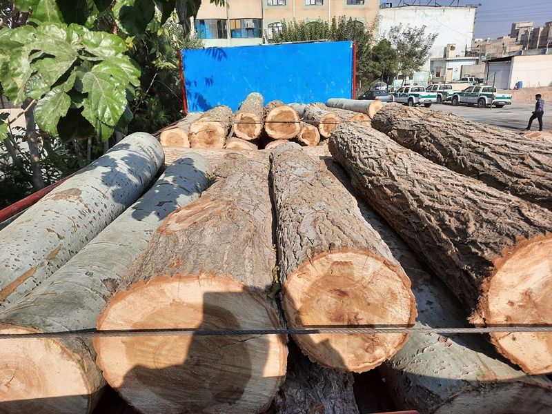 کشف بیش از ۱۰ تن چوب‌ قاچاق در صومعه‌سرا