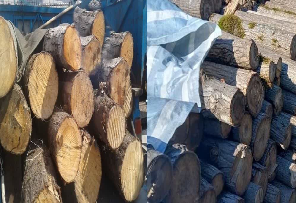 کشف ۶ تن چوب جنگلی قاچاق در شفت