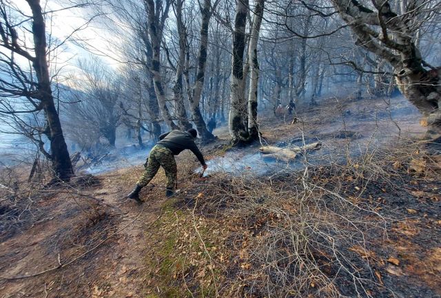 آتش‌سوزی بیش از ۶ هزار مترمربع از جنگل‌های رودسر مهار شد