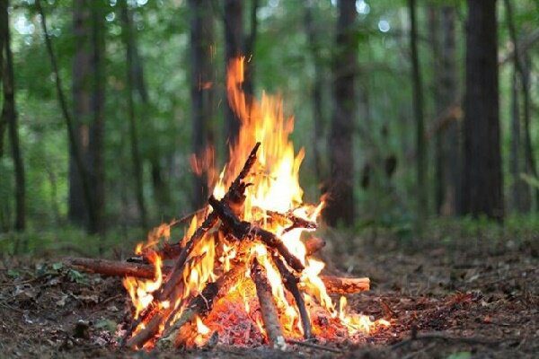 وزش باد گرم و هشدار آتش‌سوزی در جنگل‌ها و مراتع گیلان