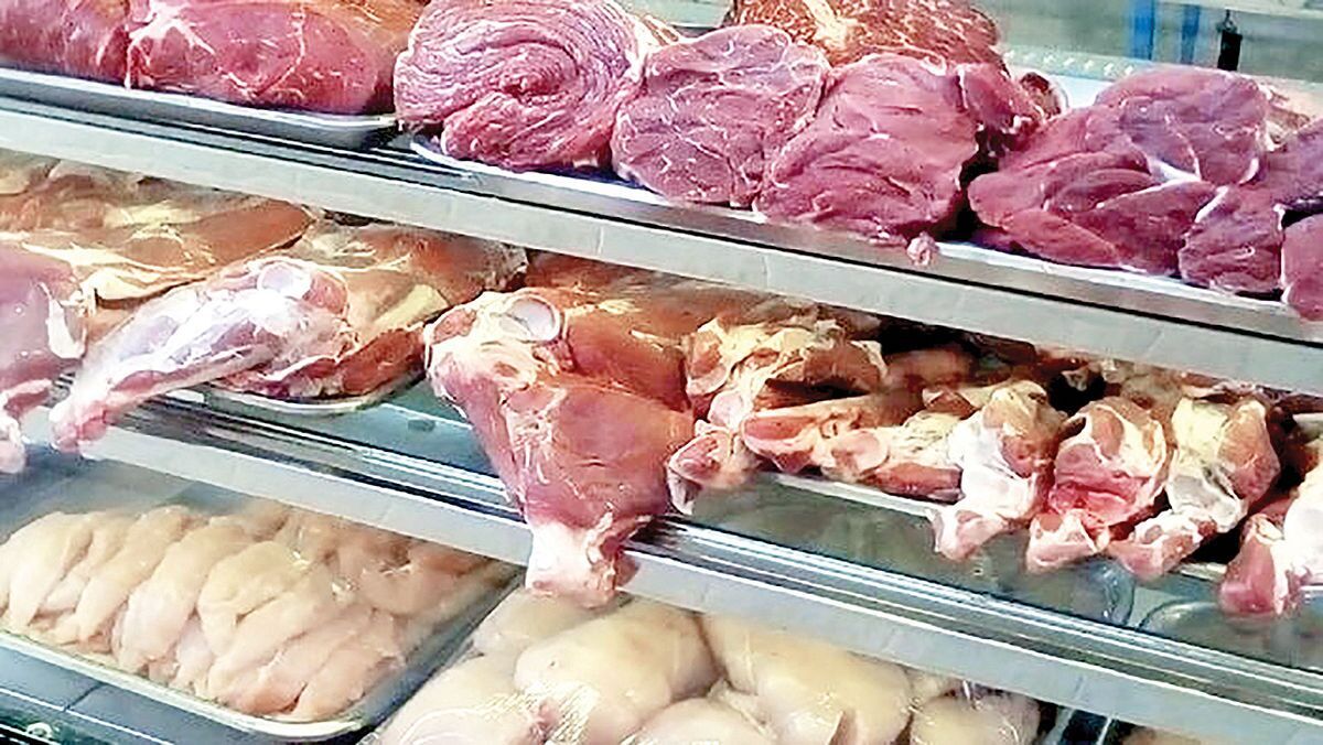 بیش از ۴۰۰ تن گوشت قرمز منجمد برای مدیریت بازار در گیلان توزیع می‌شود