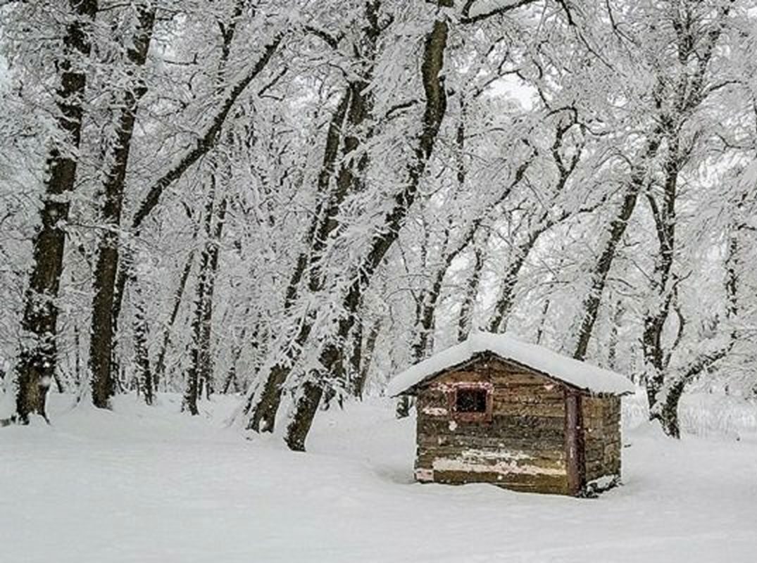 بارش برف بهاری در مناطق کوهستانی گیلان+ عکس و فیلم