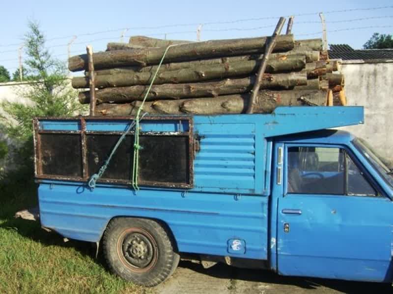 کشف ۵ تن چوب قاچاق در فومن