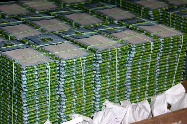 توزیع بیش از ۱۱ هزار جعبه تخم نوغان در گیلان