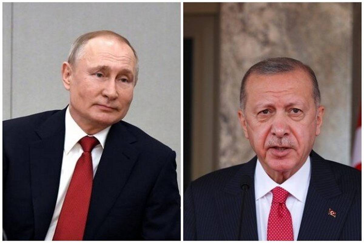 اردوغان از پوتین حمایت کرد