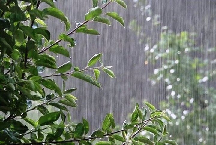 بارش شدید باران در شهرهای گیلان| فیلم
