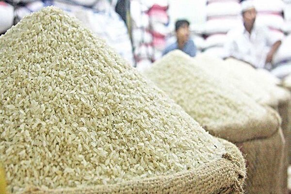   ۶۴۰ هزار تن برنج کشاورزان خریداری شد
