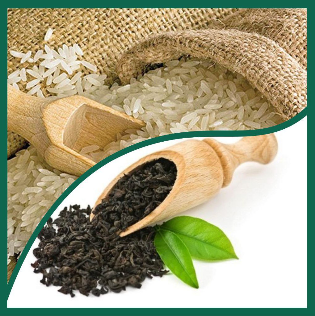 مهلت بیمه‌گذاری محصولات چای و برنج در گیلان تمدید شد