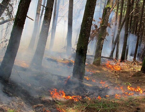 کمبود امکانات اطفای حریق در شفت زنگ خطری برای جنگل‌ها است